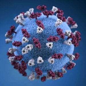 covid-19-coronavirus-covid-cell-pandemic-corona-virus-1608799-pxhere.com covid-19-coronavirus-covid-cell-pandemic-corona-virus-1608799-pxhere.com