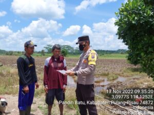IMG-20221117-WA0102
