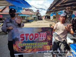 IMG-20221118-WA0065