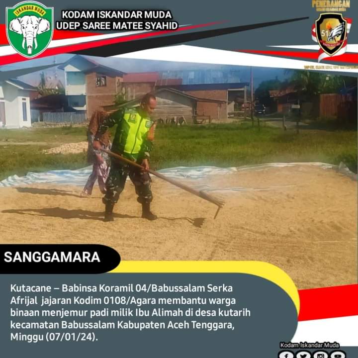 Babinsa Koramil 04/Babussalam Bantu Warga Jemur Padi