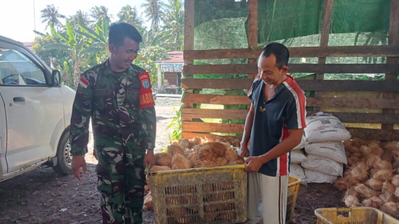 Jalin Silaturahmi Babinsa Pelimpaan Laksanakan Komunikasi Sosial Bersama Petani Kelapa