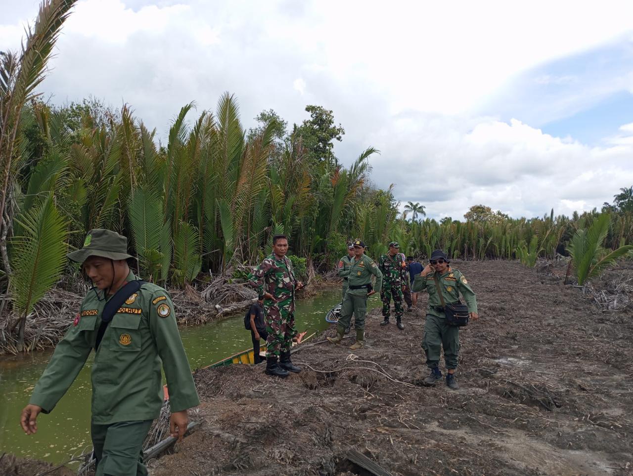 Bersama BKSDA Kalsel Dan Polisi Kehutanan, Personel Kodim 1009/Tanah Laut Patroli Di Kawasan Hutan Mangrove