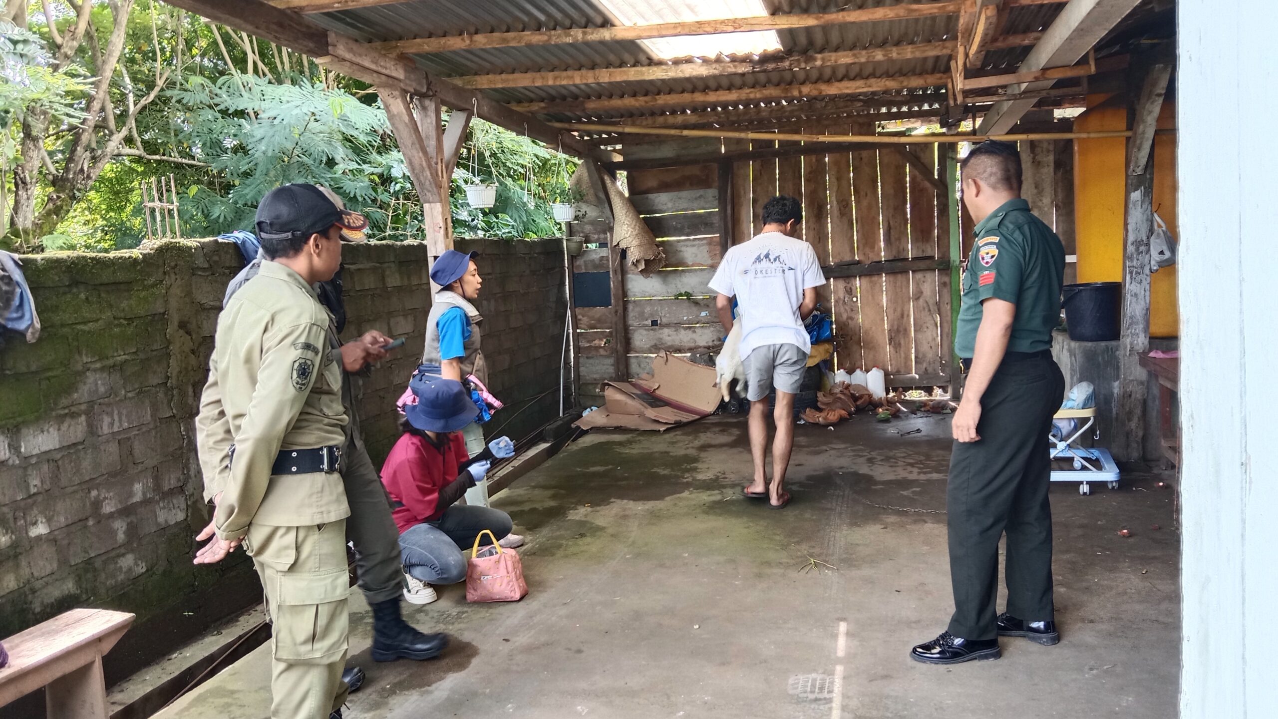 Babinsa Koramil 1612-01/Ruteng Turut Mendampingi Dinas Peternakan dalam Eliminasi Anjing Rabies dan Vaksinasi