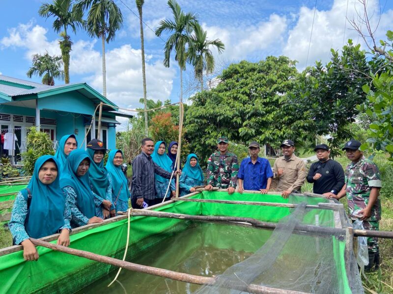 Dansatgas TMMD Regtas Ke 119 Kodim 1208/Sambas Bersama Dinas Perikanan, Tebar Ikan Lele Bantuan Kepada PKK Desa Mekar Jaya