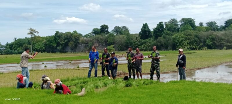 Danramil 1612-04/Borong Mendampingi Kunjungan Kementerian Pertanian untuk Survei Lokasi Pompa Air Irigasi