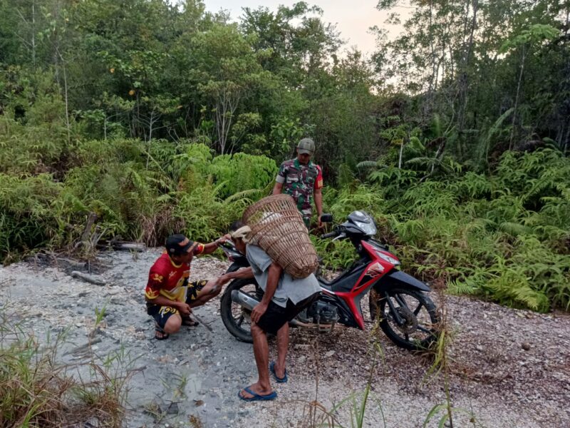 Tidak Tega Lihat Warga Kesulitan Melintas, Babinsa Sebunga Bantu Lewati Jalan Yang Rusak.