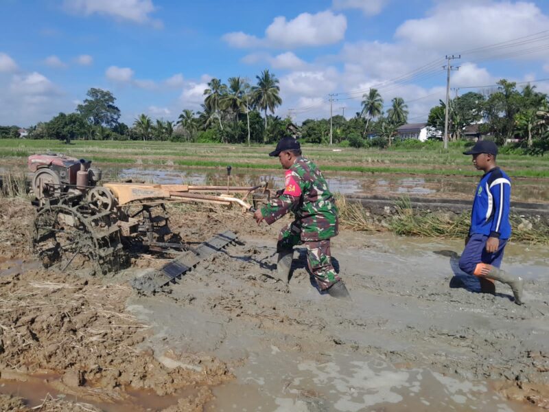 Terik Matahari Tidak Menyurutkan Kopka Adi Surian Bajak Sawah Milik Warga Binaan