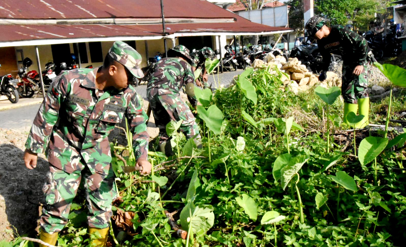 Cegah DBD, Kodim 1002/HST Bersihkan Asrama Komplek Beringin