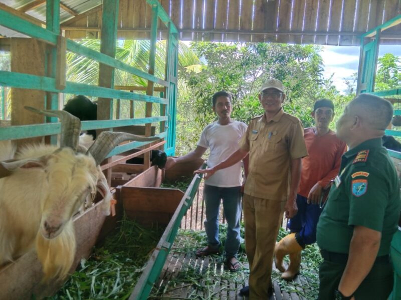 Jalin Silaturahmi Bersama Warga, Danramil 1208-06/Selakau Laksanakan Komsos Bersama Kelompok Ternak Wilayah.