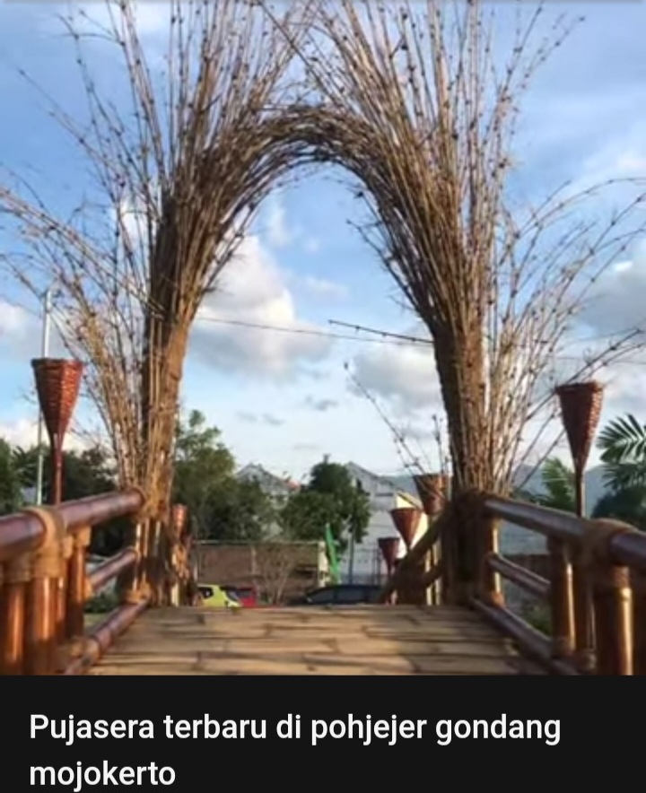 Screenshot_20241011_192035_Samsung Internet