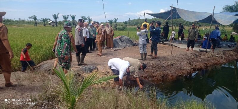 Personel Kodim 1009/Tanah Laut Hadiri Syukuran Panen Raya Padi Di Desa Kebun Raya Kecamatan Kintap