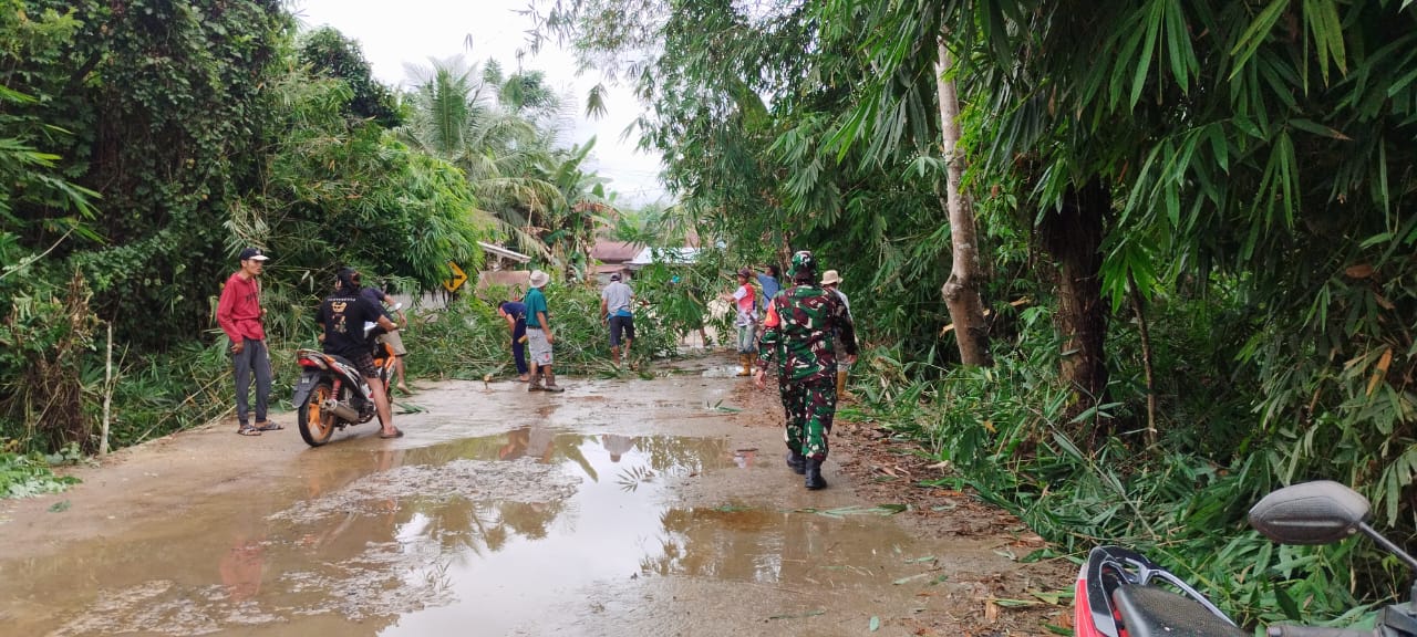 Aksi Tanggap Babinsa Koramil 1008-02, Bantu Warga Bersihkan Jalan yang Tertutup Pohon Bambu Roboh