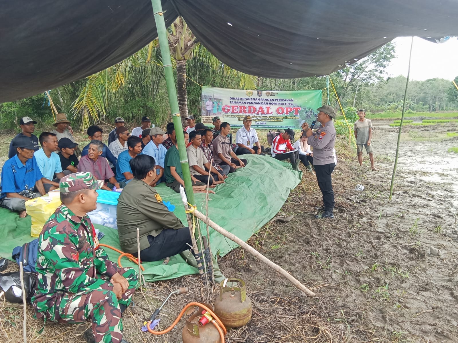 Koramil 1008-06/Banua Lawas Dukung Penuh Petani dalam Kendalikan Hama Tikus