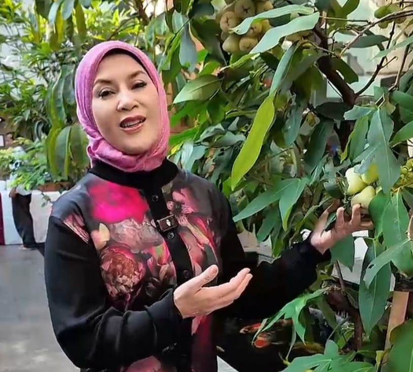 Prof. Mia Amiati: Mengenal Manfaat Jambu Air Hijau