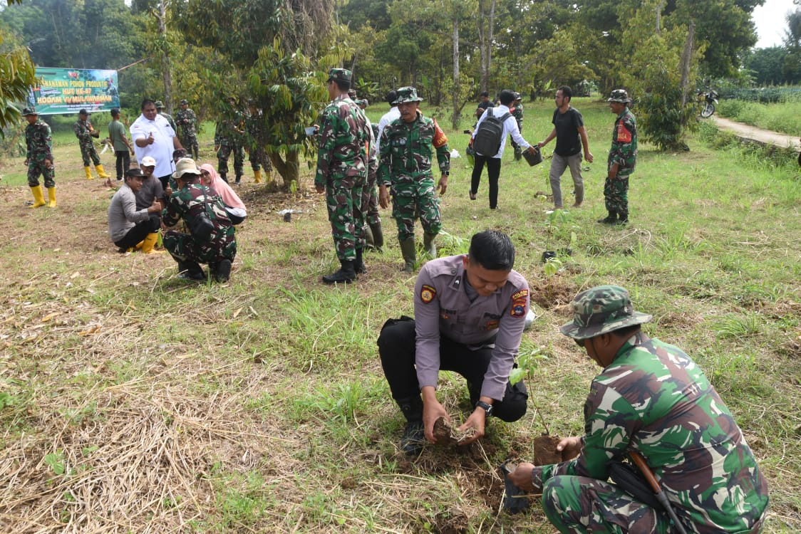 Kodim 1002/Hulu Sungai Tengah Tanam 200 Pohon Sambut HUT ke-67 Kodam VI/Mulawarman