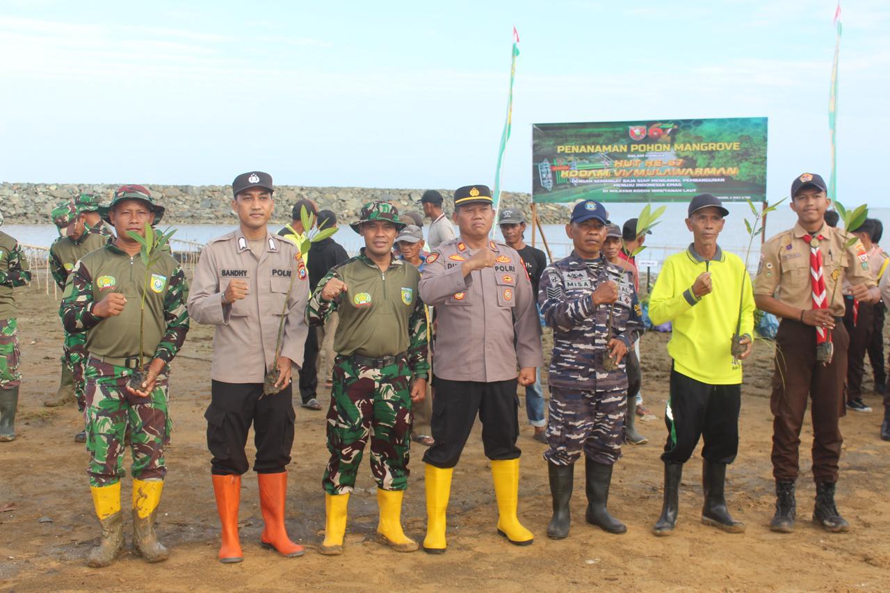 Mencegah Abrasi, Di Pesisir Pantai Kodim 1009/Tla Melaksanakan Penanaman Pohon Mangrove