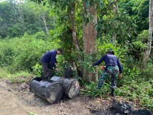 IMG-20250704-WA0021