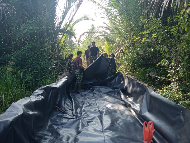 IMG-20250809-WA0010_copy_800x600