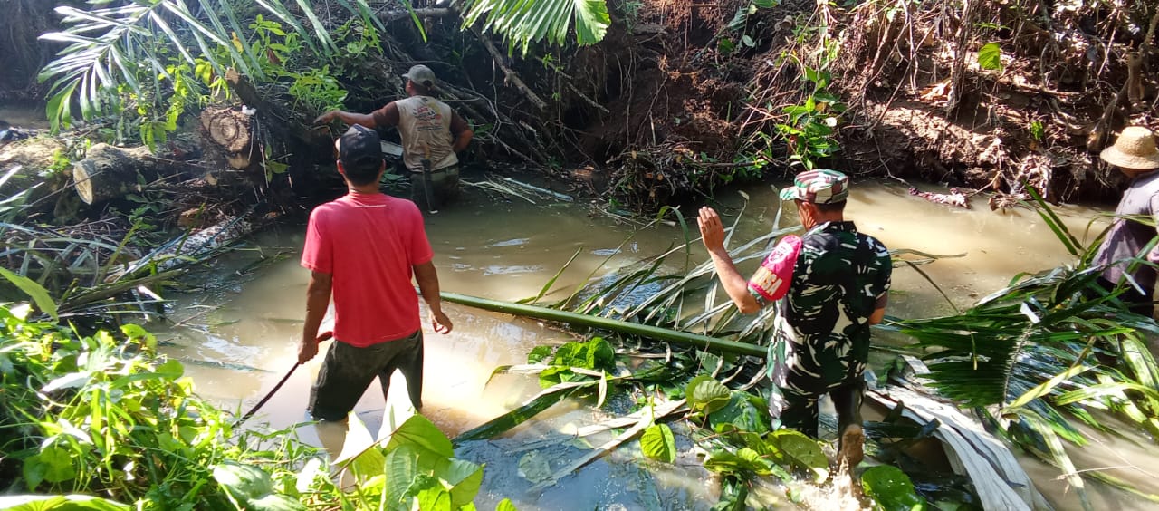TNI dan Warga Gotong Royong Atasi Pohon Tumbang di Sungai Tabu Darat