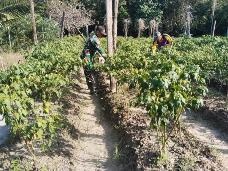 IMG-20251226-WA0030_copy_960x720