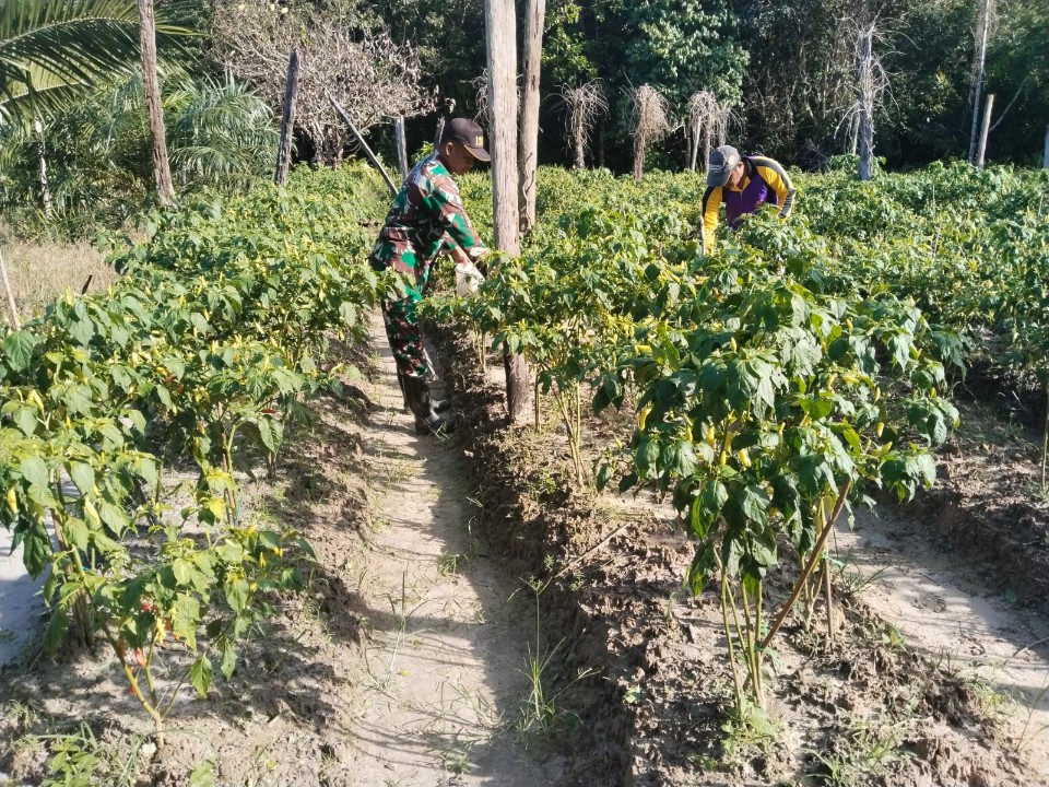 IMG-20251226-WA0030_copy_960x720