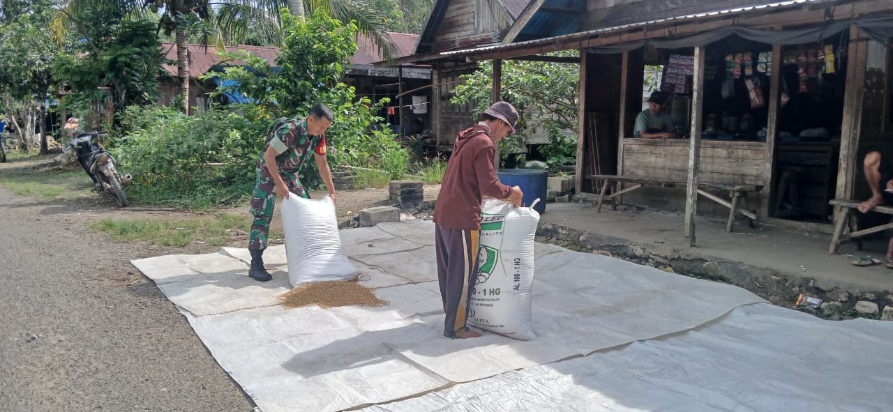 Babinsa Koramil 1002-01/BAS Hadir di Tengah Petani Desa Labuhan