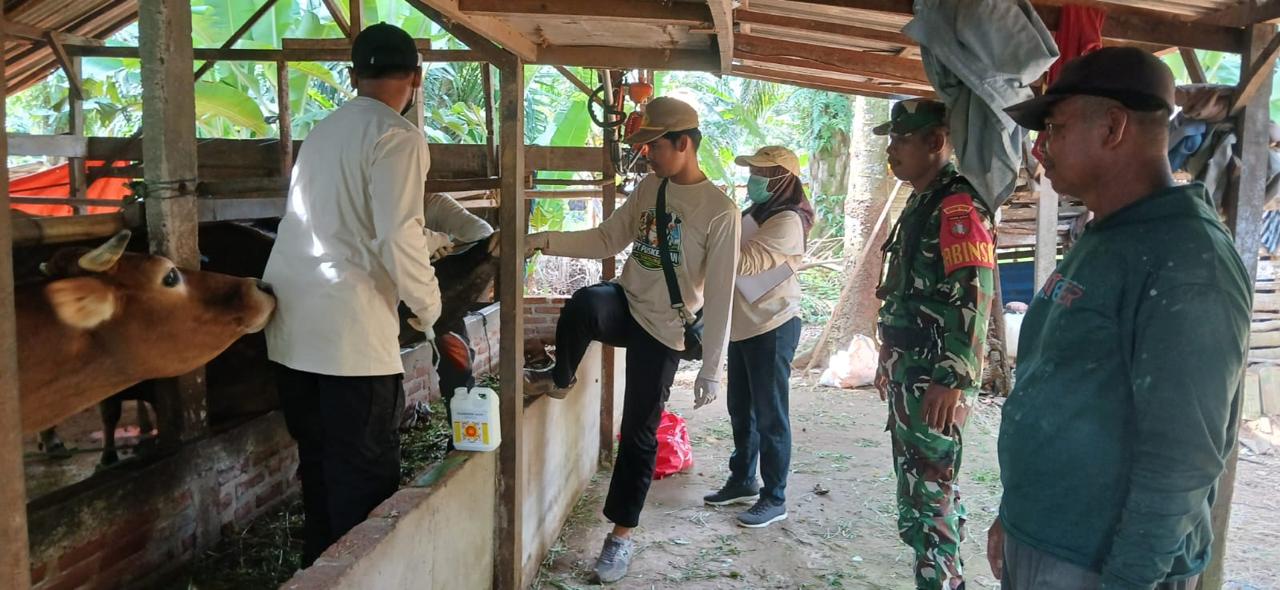 Sukseskan Program Kesehatan Hewan Ternak, Babinsa Kodim 1009/Tla Dampingi Tim Kesehatan Hewan Tala