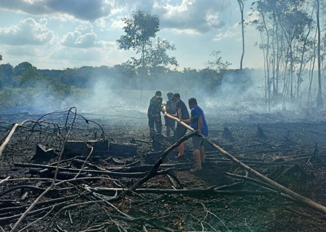 Aksi Cepat Babinsa dan Tim Gabungan Padamkan Kebakaran Lahan 1,5 Hektare di Kelua