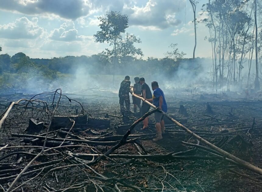 Aksi Cepat Babinsa dan Tim Gabungan Padamkan Kebakaran Lahan 1,5 Hektare di Kelua