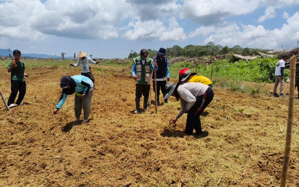 Dukung Hanpangan, Babinsa Sungai Bening Dampingi Gapoktan Bemban Tanam Padi