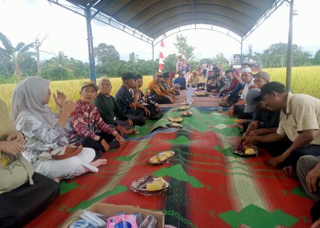Panen Raya Padi di Juai, TNI Tegaskan Komitmen Dampingi Petani