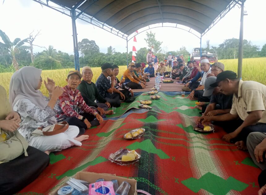 Panen Raya Padi di Juai, TNI Tegaskan Komitmen Dampingi Petani