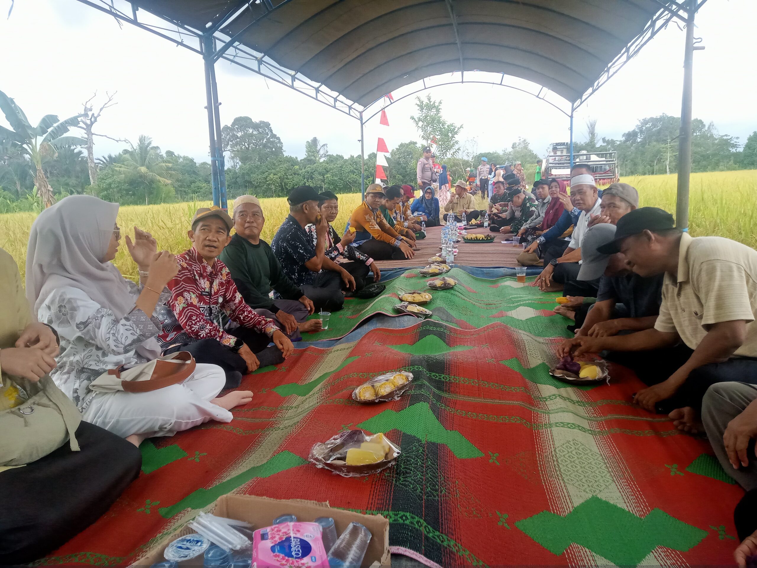Panen Raya Padi di Juai, TNI Tegaskan Komitmen Dampingi Petani
