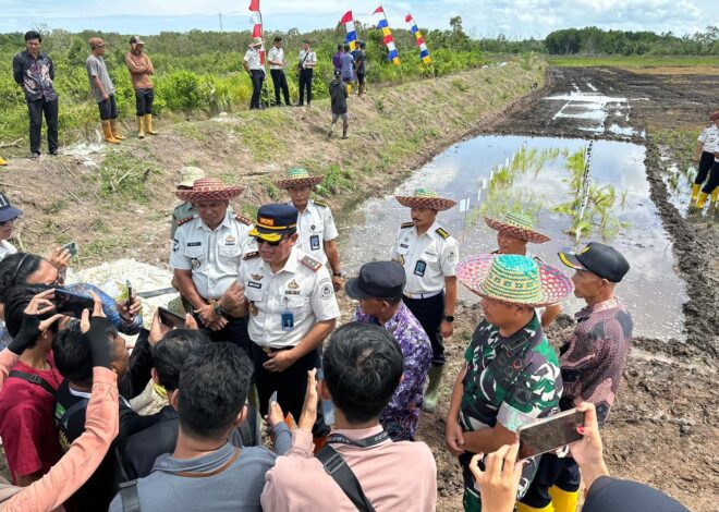 Perkuat Sinergi dan Ketahanan Pangan, Personel Kodim 1009/Tanah Laut Hadiri Tanam Padi Perdana di Lahan Cetak Sawah Rakyat Desa Pagatan Besar