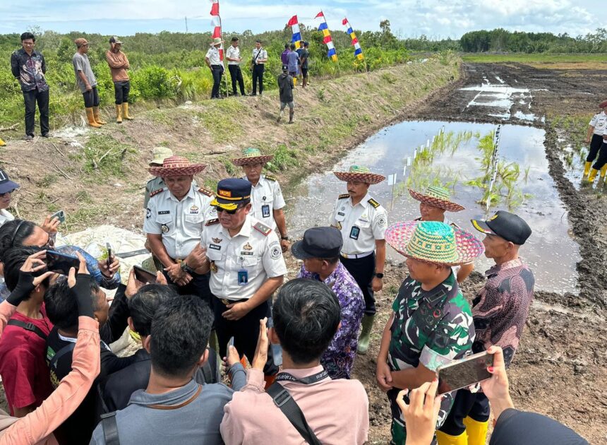 Perkuat Sinergi dan Ketahanan Pangan, Personel Kodim 1009/Tanah Laut Hadiri Tanam Padi Perdana di Lahan Cetak Sawah Rakyat Desa Pagatan Besar