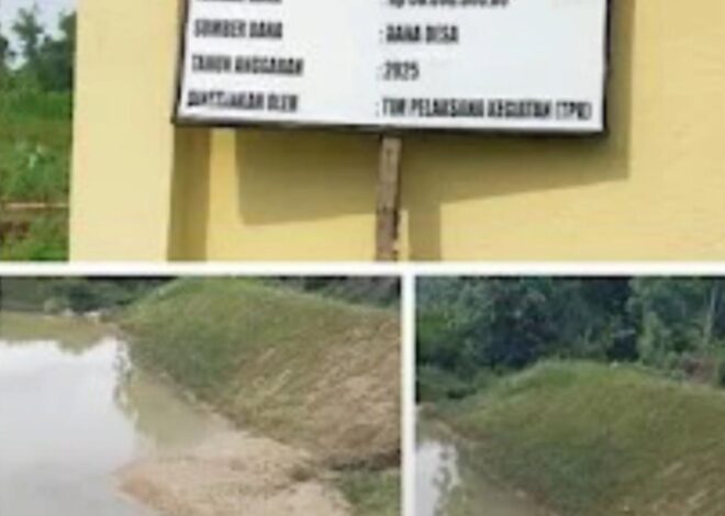 Tanah Embung Diduga Dijual, BUMDes Dinilai Pasif, Warga Sukodono – Panceng Kecewa Dengan Kinerja Kades