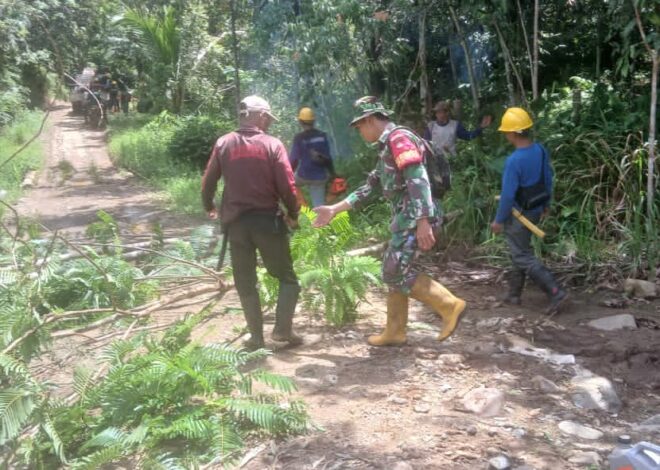 Babinsa dan Warga Kompak, Pembersihan Jalan Dukung Pembangunan Listrik Desa