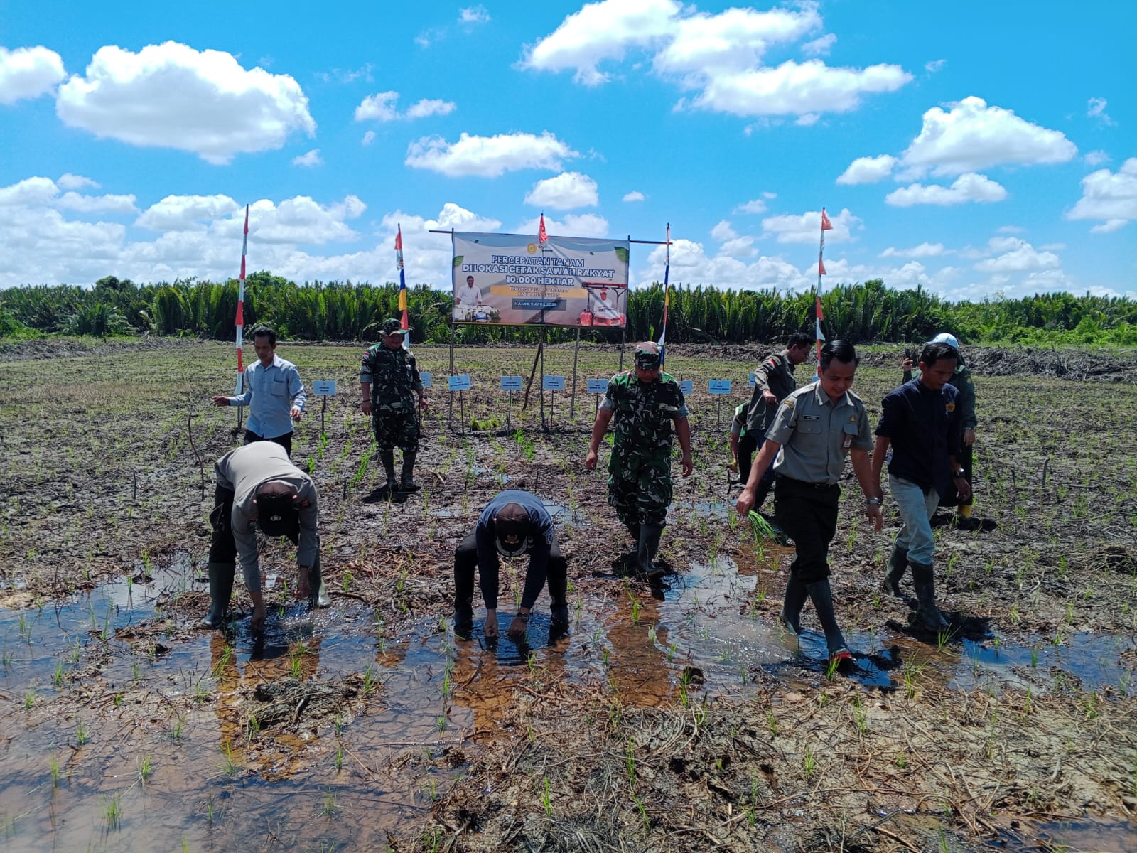 Wakili Dandim, Pasi Ter Kodim 1208/Sambas Hadiri Tanam Padi Serentak 16 Provinsi di Lahan CSR