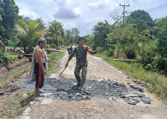 Babinsa Desa Ratu Sepudak Bersama Warga Gotong Royong Timbun Jalan Berlubang