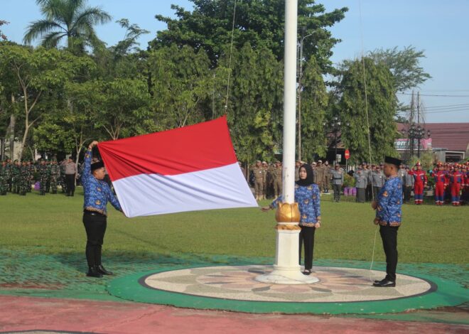 Upacara HKN Tabalong Berlangsung Khidmat, TNI Hadir Dukung Sinergitas