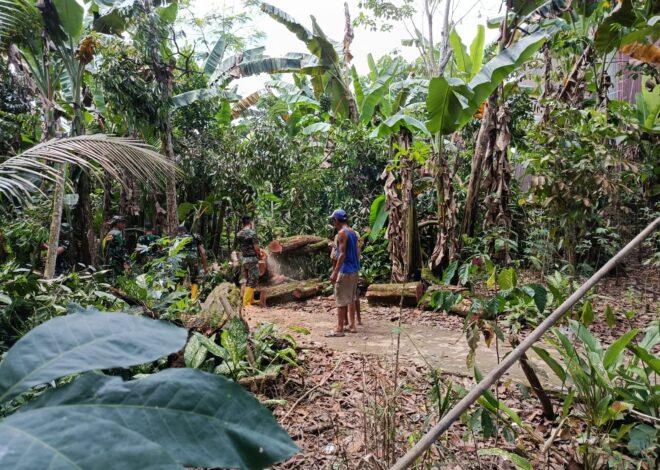 Sigap! Satgas Jembatan Garuda Bersihkan Pohon Tumbang yang Halangi Distribusi Material