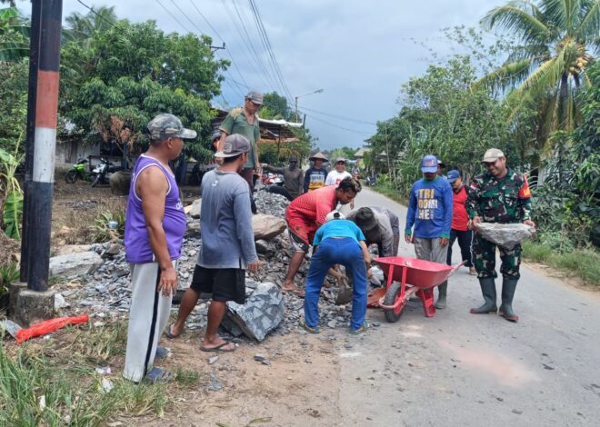 Babinsa Merubung Koramil 03/Tebas Ajak Warga Gotong Royong Timbun Jalan Gang Wilayah Binaan