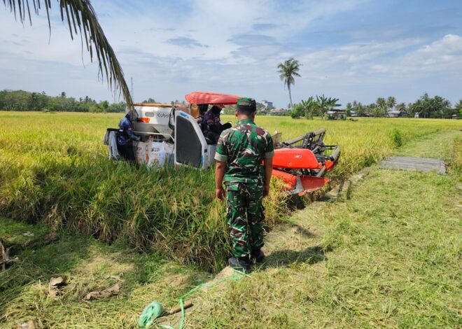 Sertu Solikin Hadir di Tengah Petani, Dukung Ketahanan Pangan dan Kesejahteraan Warga