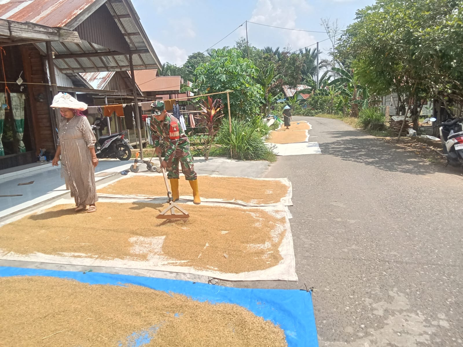 Sentuhan Kepedulian Babinsa di Sawah, Petani Desa Hapalah Rasakan Kehadiran TNI