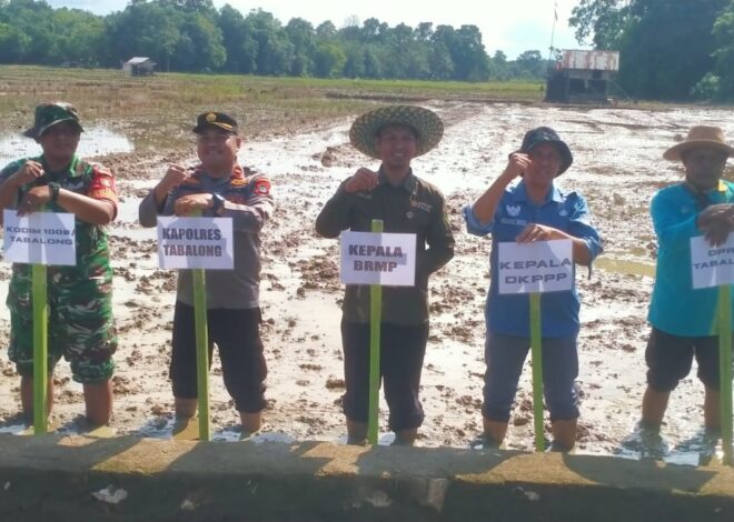 Babinsa dan Petani Bersinergi Wujudkan Swasembada Pangan di Tabalong