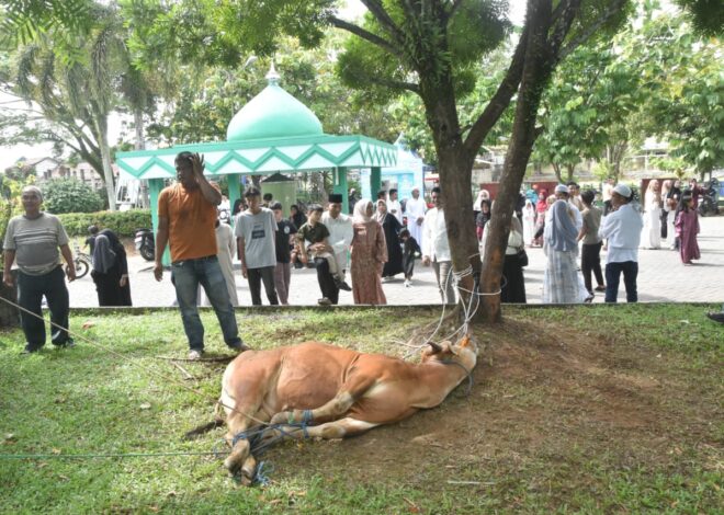 Tebar Kepedulian di Idul Adha, Kodim 1002/HST Bagikan Hewan Kurban