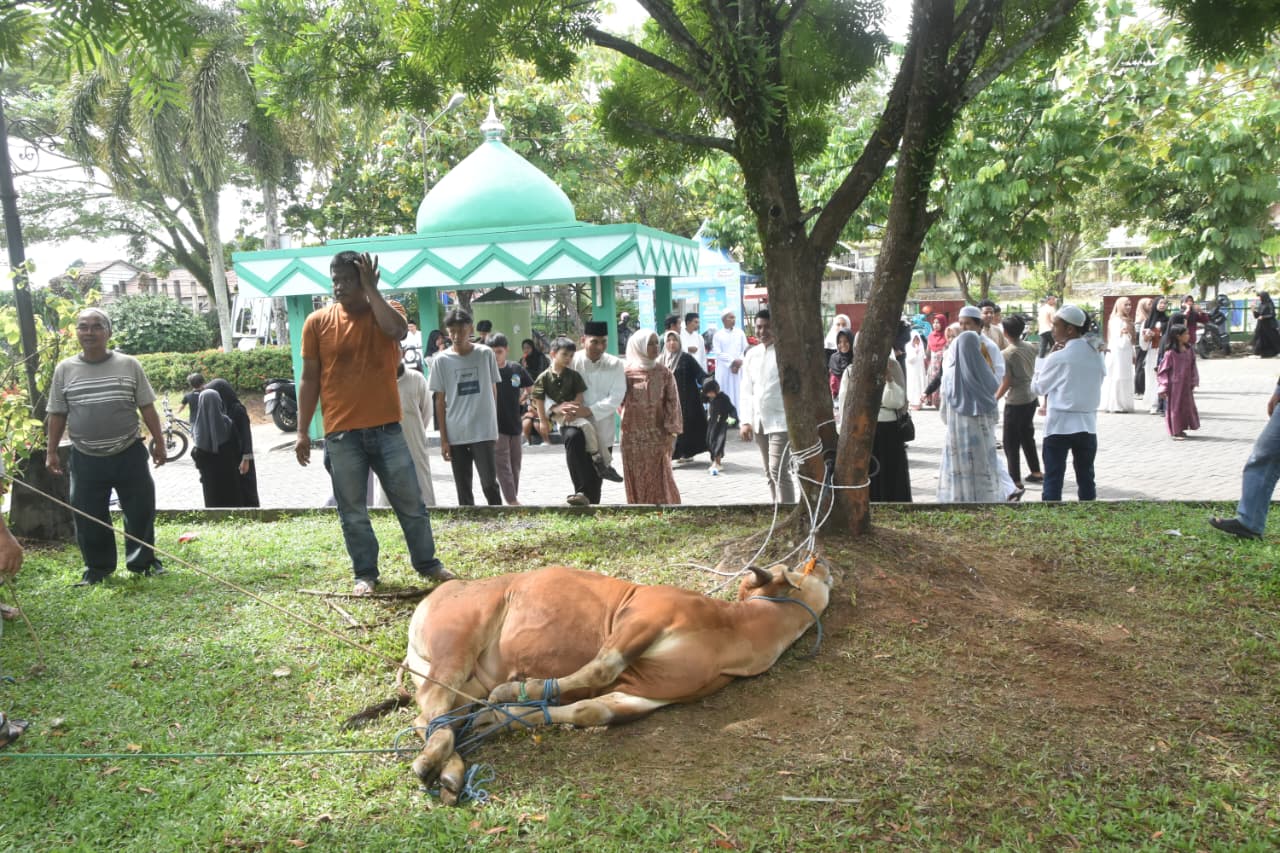 Tebar Kepedulian di Idul Adha, Kodim 1002/HST Bagikan Hewan Kurban