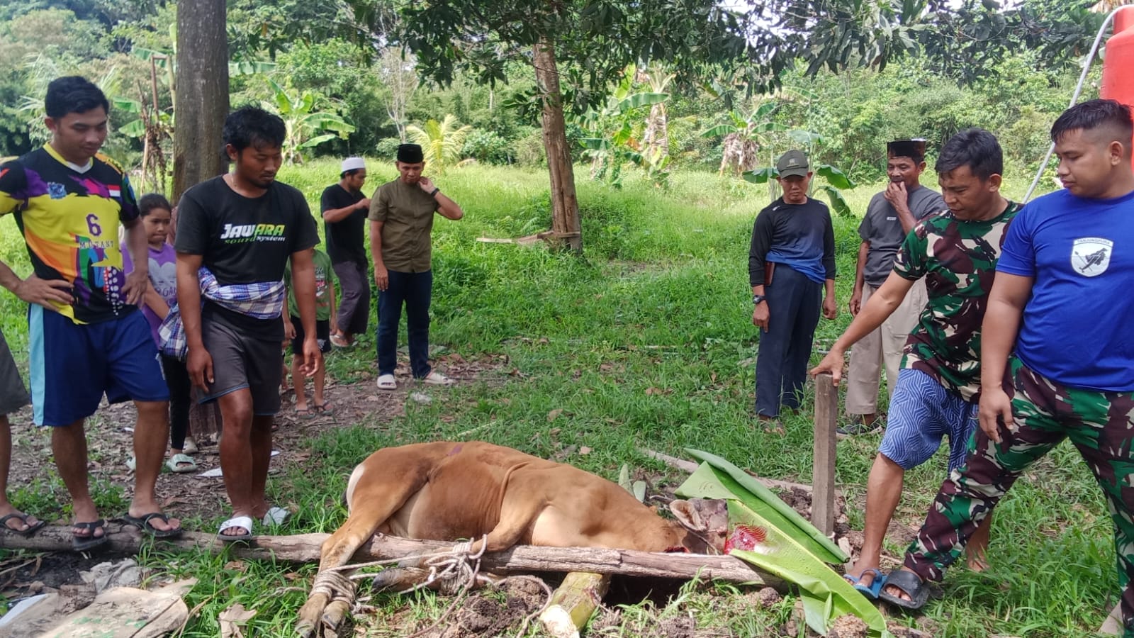 Kodim 1208/Sambas Gelar Pemotongan Hewan Kurban, Perkuat Keimanan Dan Kepedulian Sosial Di Hari Raya Idul Adha