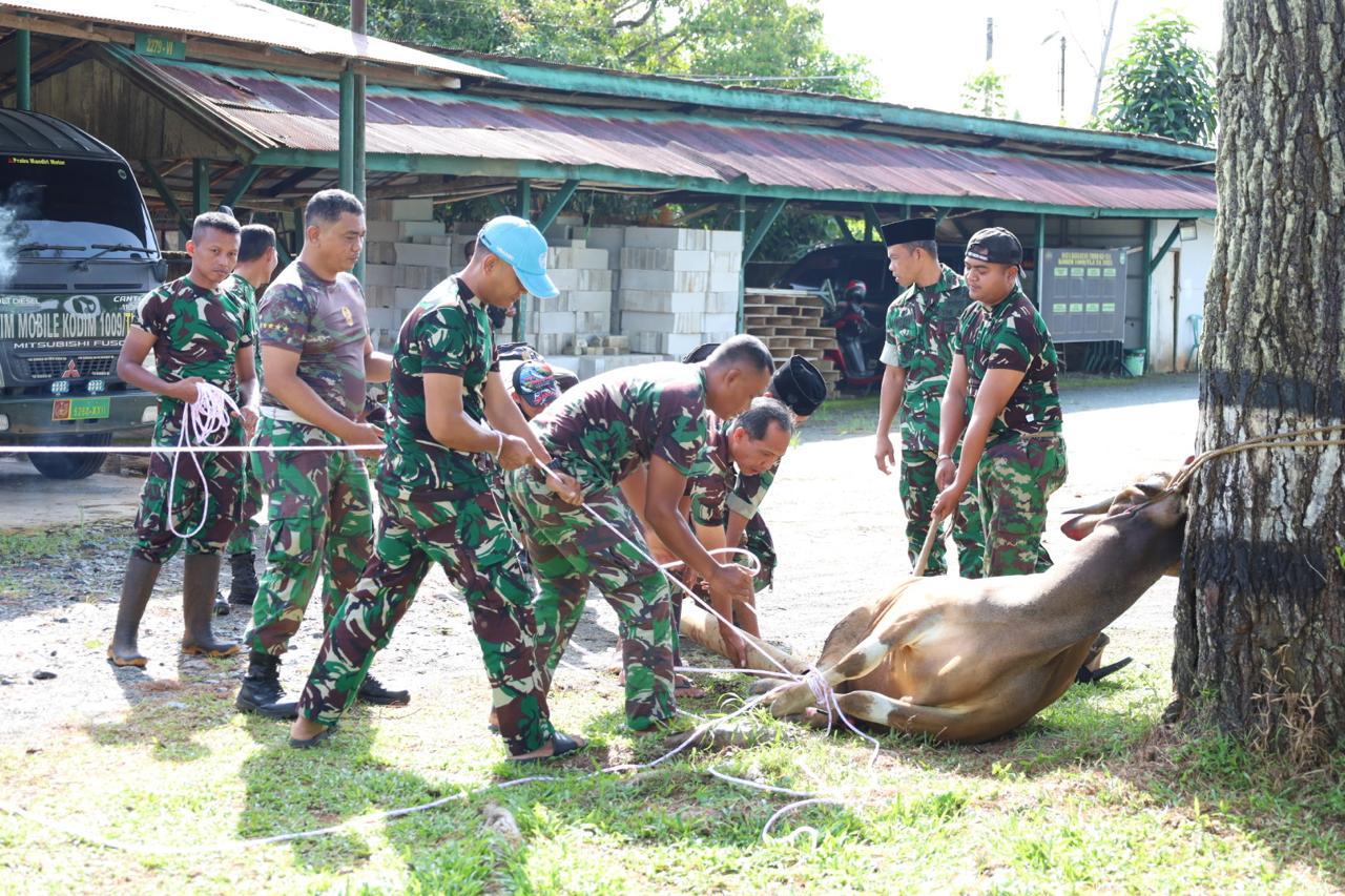 Kodim 1009/Tanah Laut Laksanakan Pemotongan 3 Ekor Hewan Kurban Sambut Idul Adha 1447 Hijriah