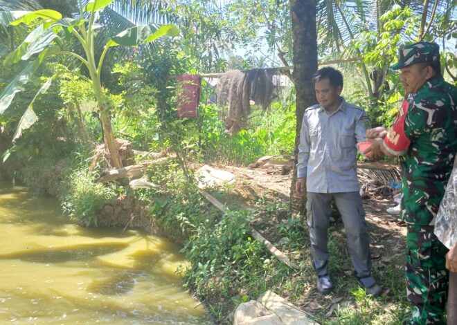 Babinsa Koramil 1008-05/Kelua–Muara Harus Dampingi Pembudidaya Ikan Patin di Desa Sei Buluh
